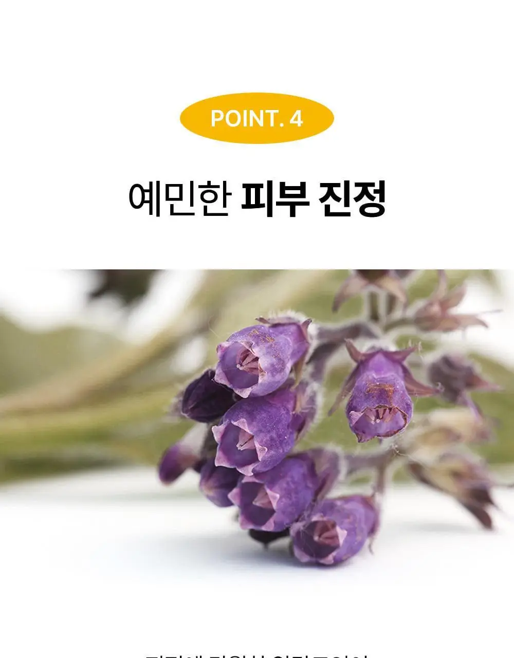 [피지케어/블랙헤드] 성분에디터 블랙헤드 멜팅 클리어 패드 30매 상세페이지 27